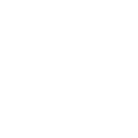 ntv logo